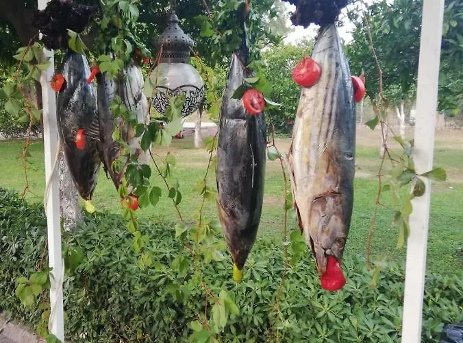 Monna Roza Garden 4* Kemer