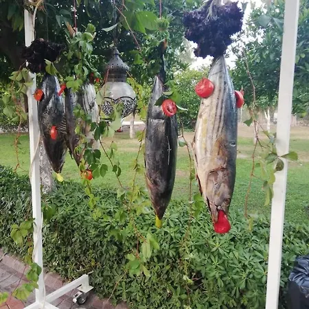 Monna Roza Garden 4* Kemer