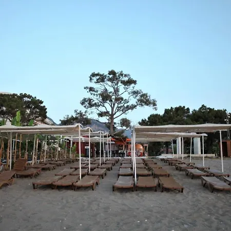 Monna Roza Garden 4*